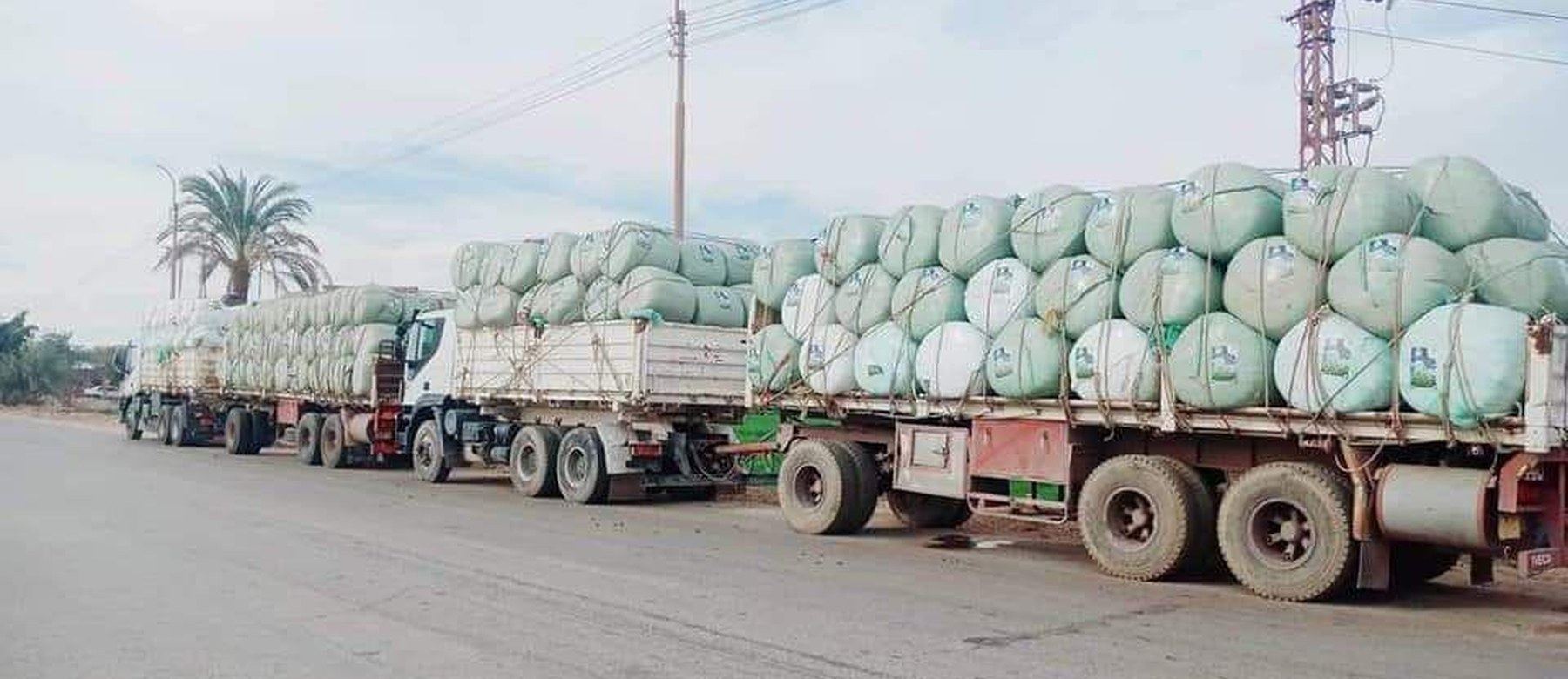 Loaded trucks departing for export