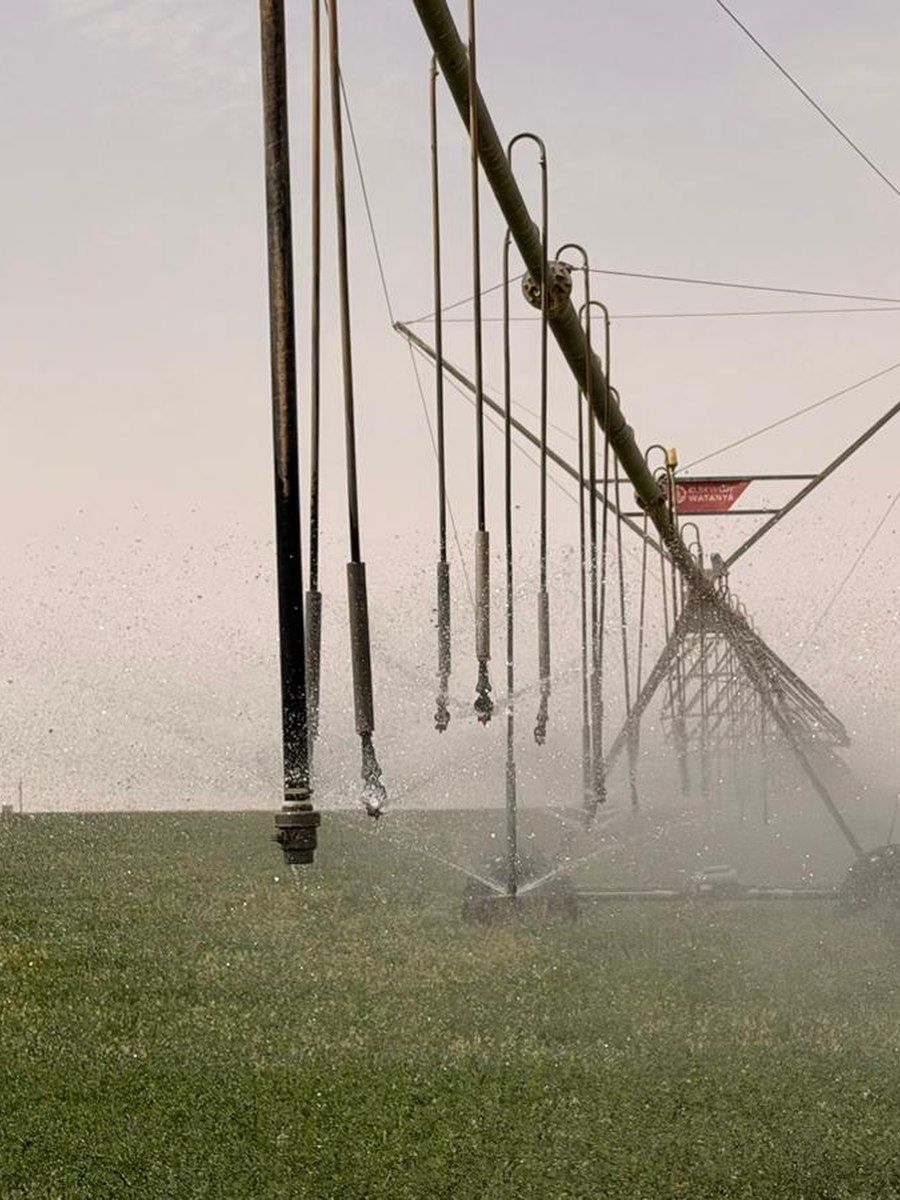 Centre pivot irrigation on a supplying farm
