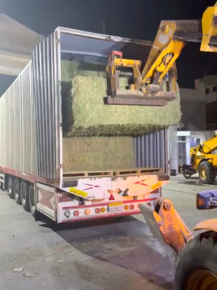 Loading bales into an export container
